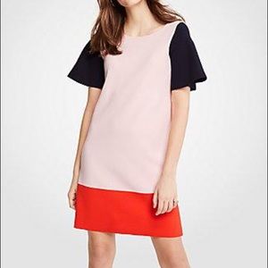Ann Taylor Petite Colorblock Sweater Shift Dress